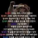 스튜디오마이시즌 계약후기🔐광주전남 본식스냅 📷| 짝꿍 할인코드 입력하고 할인 받자❗️