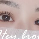 헤이브로우 이미지