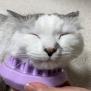 즐거운그루밍 이미지