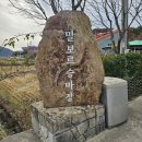 밀양 아이와 가볼만한곳 말보르승마장 말타기 체험(feat.먹이주기)