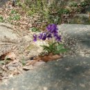 용운산장 이미지