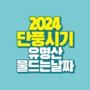 2024 단풍 시기 / 유명산 단풍 물드는 날짜 이미지