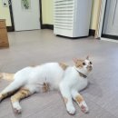 호텔네모 이미지