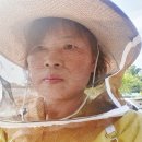 종봉농장 이미지