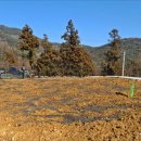 거제시 농기계임대사업장 이미지