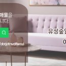 유성숲오투공인중개사사무소 이미지