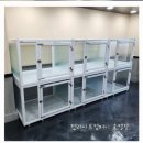 멍멍이를 부탁해 이미지