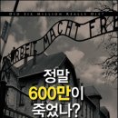 이거 '홀로코스트 부정론'의 불쏘시개류 책이라고 봐도 될까요? 이미지