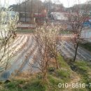 아담농장 이미지