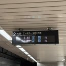 대박삼푸드 | 여름 홋카이도 비에이 후라노 1일 버스투어 일정 및 내돈내산 후기