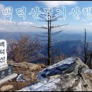 백덕산주유소 이미지