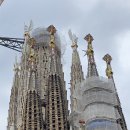 바르셀로나 성가족성당(사그리다 파밀리아 성당) 이미지