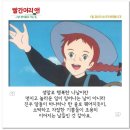 빨간머리앤 - 마포구 | 빨간머리앤