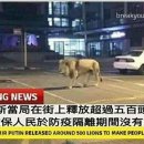 굿아이디어 이미지