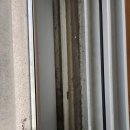 금빛초교 이미지