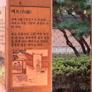 백로사우나 | 호텔나루서울엠갤러리 슈페리어 숙박 수영장 호캉스 후기