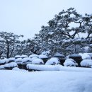 서일 농장 이미지