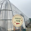 창원 딸기체험 주남 농부 더하기 방문 후기!