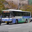 내리휴먼시아1단지여자경로당 | [부산,시내버스] 부일여객 38번