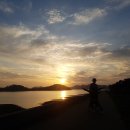 (주)팜스월드지지피 이미지