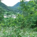 가야면 성기리 이미지