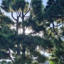 다비치안경 신서귀포이마트 옆점 | 신서귀포 월드컵 경기장 맞으편 근린공원 중앙도서관 혁신도시