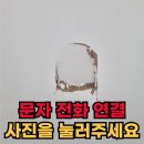 일산 방문 파손 수리, 복원 후 페인트 도장