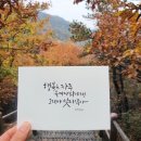 초월캘리