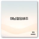 보섭농장 | 해남 절임배추 20kg 추천부터 가격 직거래까지 깔끔 정리