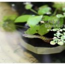 토림공방 이미지