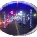 화원삼거리~ 사문진교 이미지