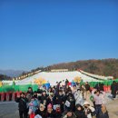 한들물빛 꿈나무 태권도 | 아산 탕정 아이 태권도 배우기 좋은 곳, 꿈나무태권도!