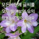 이쁜 글귀 올려봅니다 이미지