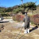 무안곤충농장 이미지