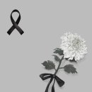 이담장례 이미지