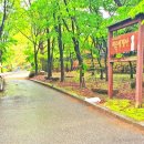 미륵리사지길 네이버블로그