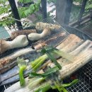 호명산 밸리 이미지