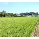 지승공인중개사사무소 이미지