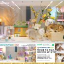 그루밍캐터리 이미지