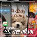 클립 | 스토리앤미디어 네이버클립체험단 후기ㅣ 숏폼대행사 선택이 중요한 이유