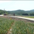 장흥 2리 이미지