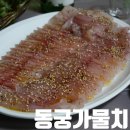 가물치회는 처음이지? 목포 횟집 동궁가물치 2회차 후기