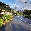 괴목민박 이미지