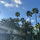 상예동-13 | 겨울제주