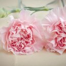 전주기독병원 이미지