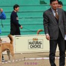 임봉호 이미지