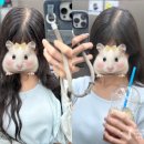 드노보뷰티