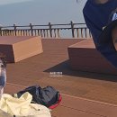 억새마을 | 충남 홍성 오서산 억새보러 등산한 후기