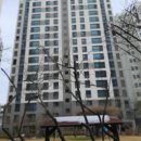 힐스테이트2단지아파트 이미지