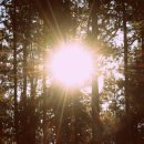 하늘 태양광발전소 이미지